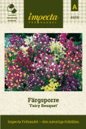 Färgsporre 'Fairy Bouquet', täta buskar med små, lejongapslika blomspiror.