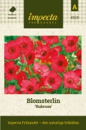 Blomsterlin 'Rubrum', Klarröda blommor över ett buskigt, mörkgrönt bladverk.