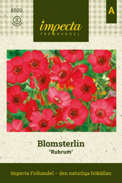 Blomsterlin 'Rubrum' Impecta fröpåse