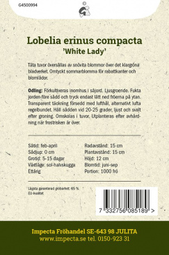 Kantlobelia 'White Lady' Impecta odlingsanvisning