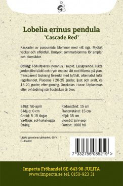 Hänglobelia 'Cascade Red' Impecta odlingsanvisning