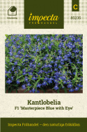 Kantlobelia F1 'Masterpiece Blue with Eye', djupt blå blommor med vitt öga. Tidig i blom och mycket vädertålig.