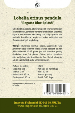 Hänglobelia 'Regatta Blue Splash' Impecta odlingsanvisning
