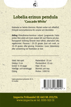 Hänglobelia 'Cascade White' Impecta odlingsanvisning