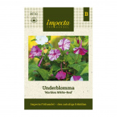 Underblomma 'Marbles White-Red'