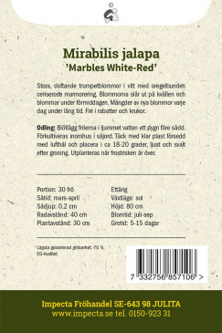 Underblomma 'Marbles White-Red' Impecta odlingsanvisning