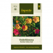 Underblomma 'Marbles Yellow-Red'