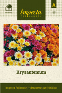 Krysantemum, Traditionell krukväxt, rikblommande. Enkla till halvdubbla blommor.