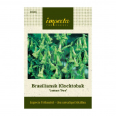 Brasiliansk Klocktobak 'Lemon Tree'