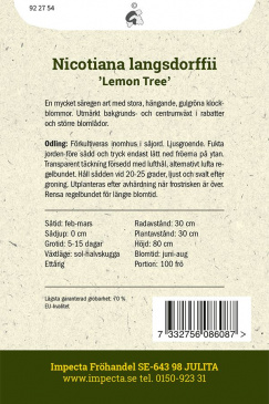 Brasiliansk Klocktobak 'Lemon Tree'