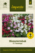 Blomstertobak F1 'Saratoga' blandade färger, vit, rosa och mörkröd 
