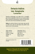 Prydnadshirs ''''Lowlander''''. Luftiga tuvor av lansettlika blad och gröngula t