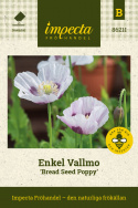 Enkel Vallmo 'Bread Seed Poppy' Skir blomma dör färgen går i kika till vit