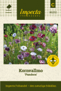 Kornvallmo 'Pandora', Skir, romantisk blandning av enkla till dubbla blommor.