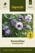 Kornvallmo 'Amazing Grey', Stora, dubbla blommor i dimgrått till purpurviolett.
