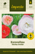 Kornvallmo 'Shirley Double', Dubbelblommande, blommor i rött, rosa samt vitt. 