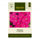 Petunia F1 'Eagle Pink'