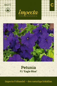 Petunia F1 ''Eagle Blue'' Impecta fröpåse
