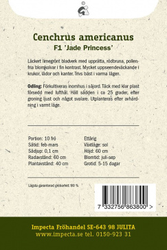 Pärlhirs F1 'Jade Princess' Impecta odlingsanvisning