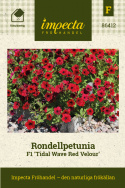 Rondellpetunia F1 'Tidal Red Velour', sammetsröda blommor med mörkt svalg. 