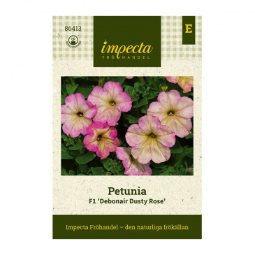 Petunia F1 'Debonair Dusty Rose'