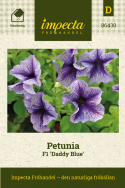 Petunia F1 'Daddy Blue', Lavendelblå blommor med silverton och purpurblå ådring.