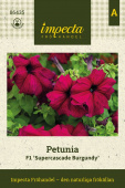 Petunia F1 'Supercascade Burgundy'
