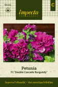 Petunia F1 ''''Double Cascade Burgundy'''' Fröpåse