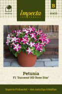 Petunia F1 'Success! HD Rose Star', mängder av cerise blommor med vit stjärna.