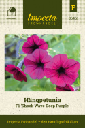 Hängpetunia F1 'Shock Wave Deep Purple', Djupt purpurrosa, stora blommor