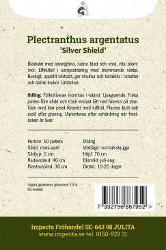 Silverljus 'Silver Shield' Impecta odlingsanvisning