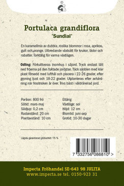 Praktportlak 'Sundial' Impecta odlingsanvisning