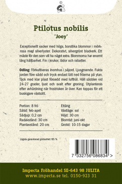 Kattamarant 'Joey' Impecta odlingsanvisning
