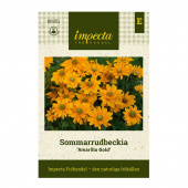 Sommarrudbeckia 'Amarillo Gold'