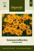 Sommarrudbeckia 'Amarillo Gold' fröpåse Impecta
