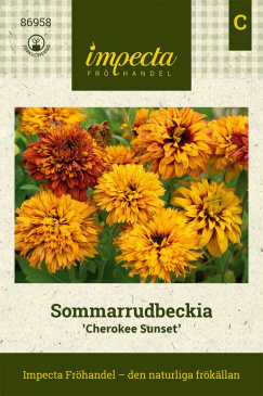 Sommarrudbeckia 'Cherokee Sunset' fröpåse Impecta