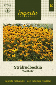 Strålrudbeckia ''Goldblitz'' Fröpåse