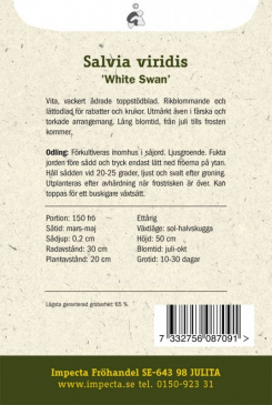 Broksalvia 'White Swan' Impecta odlingsanvisning