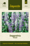 Daggsalvia 'Strata', Silverfärgade spiror med klarblå småblommor.