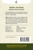 Scharlakanssalvia 'Summer Jewel Lavender' Impecta odlingsanvisning