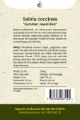 Scharlakanssalvia 'Summer Jewel Red' Impecta odlingsanvisning