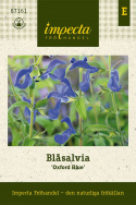 Blåsalvia 'Oxford Blue' sätter färg på rabatt och lådor i halvskuggiga lägen.
