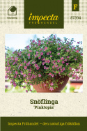 Snöflinga ''Pinktopia'' Mängder av små lavendelrosa småblommor längs stjälkarna