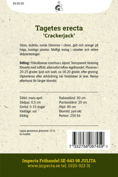 Stor Tagetes 'Crackerjack'