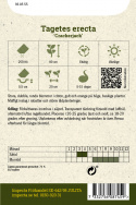 Stor Tagetes 'Crackerjack' Stora, dubbla, runda blommor i citrongult och orange
