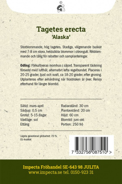 Stor Tagetes ''Alaska'' fröpåse baksida Impecta