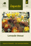 Levande stenar, stor färgvariation på både blommor och 