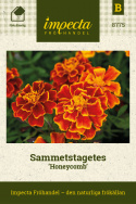 Sammetstagetes Honeycomb, Dubbla, tegelröda blommor, med guldgula kanter