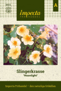 Slingerkrasse Moonlight, Indiankrasse. Vaniljgula blommor och ljusgrönt bladverk