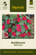 Buskkrasse 'Baby Rose' för krukor, amplar och kanter. Blommor och blad kan ätas.